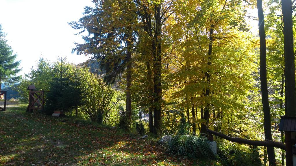 FATRAPARK 1 U SOVIČKY štúdio, kuchynka, kúpeľňa,s balkónom grátis parkovanie v podzemnej garáži Ruzomberok Exterior foto