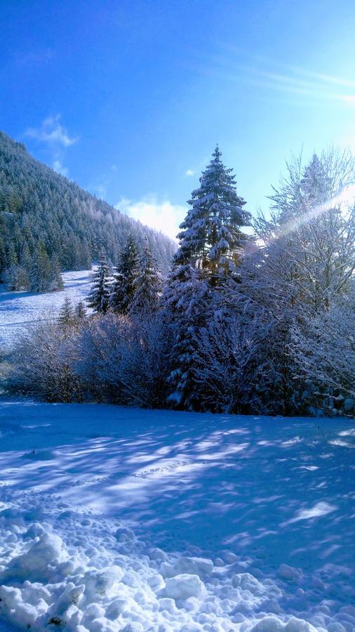 FATRAPARK 1 U SOVIČKY štúdio, kuchynka, kúpeľňa,s balkónom grátis parkovanie v podzemnej garáži Ruzomberok Exterior foto